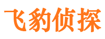 高陵侦探公司